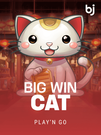বিগ উইন ক্যাট game icon